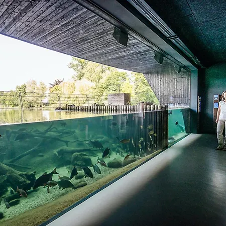 Lejlighed Seepark Roebel, Typ 2-4 Personen Röbel